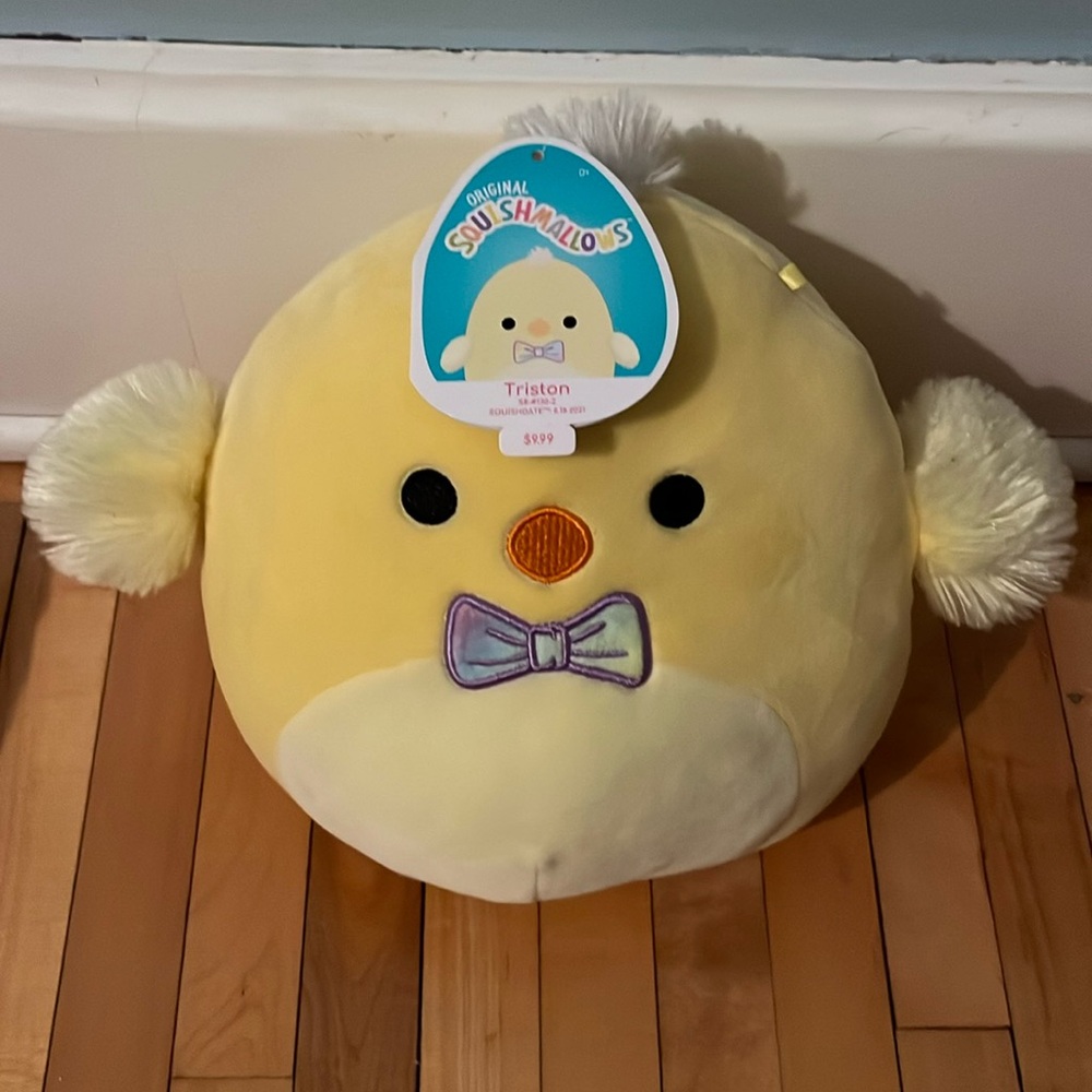 Duck squishmallow Tristan